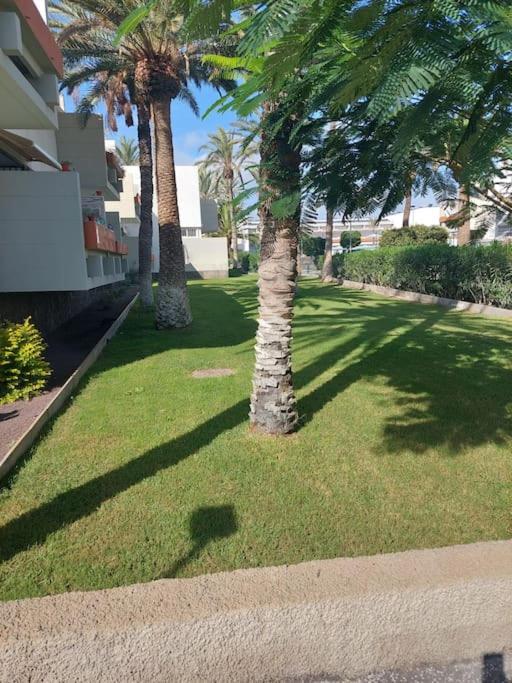 Lovely Apartment With Pool กอสตา เดล ซิเลนซิโอ ภายนอก รูปภาพ